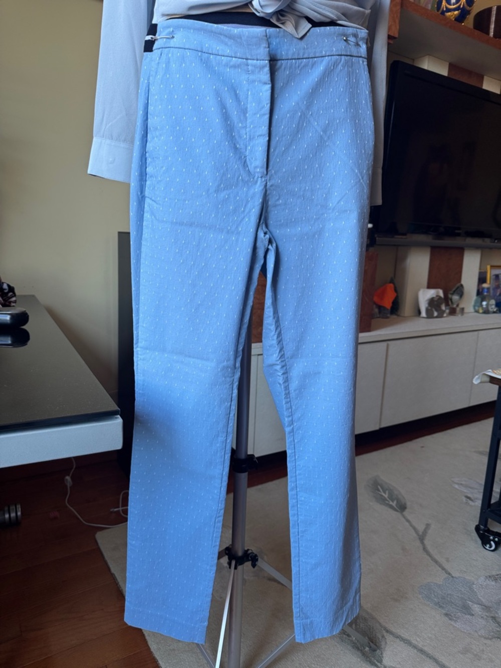 Zara Light Blue Pin Dot Dress Pants